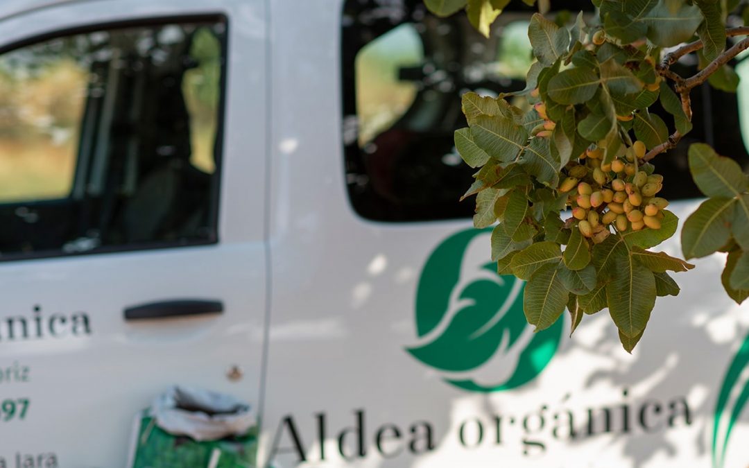 El pistacho continúa su crecimiento en España. El humus de lombriz, gran aliado del pistachero.