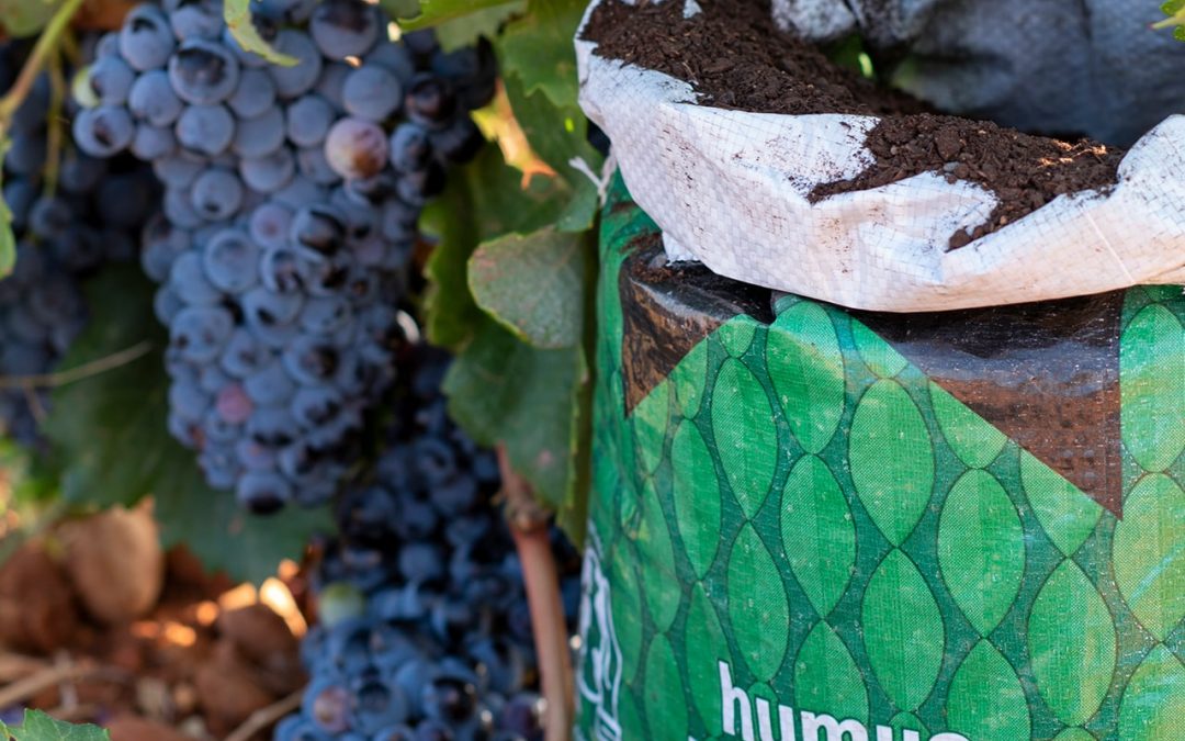 El humus de lombriz y sus beneficios para el viñedo